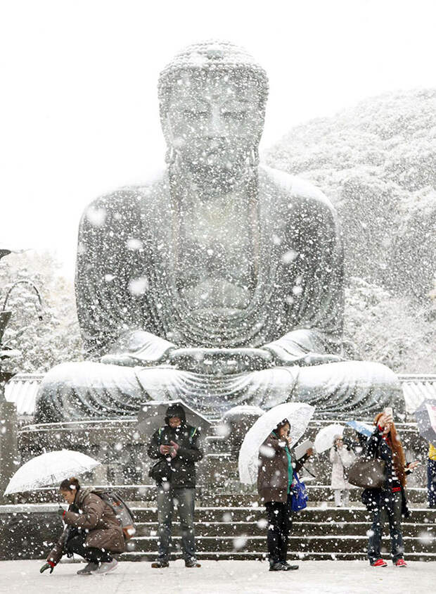 Tokyo First Snow In November 2016