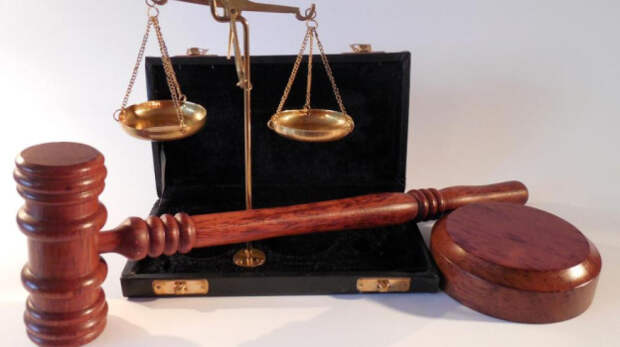 В Белогорске браконьер на автомобиле сбил лесничего