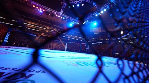 UFC Octagon