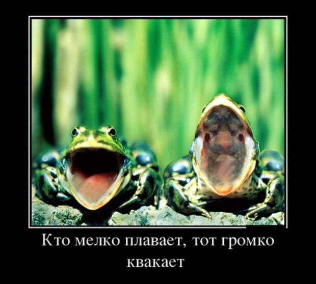 Немного новых демотиваторов