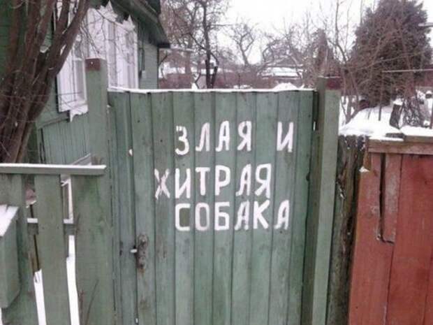 Забавные объявления (30 фото)