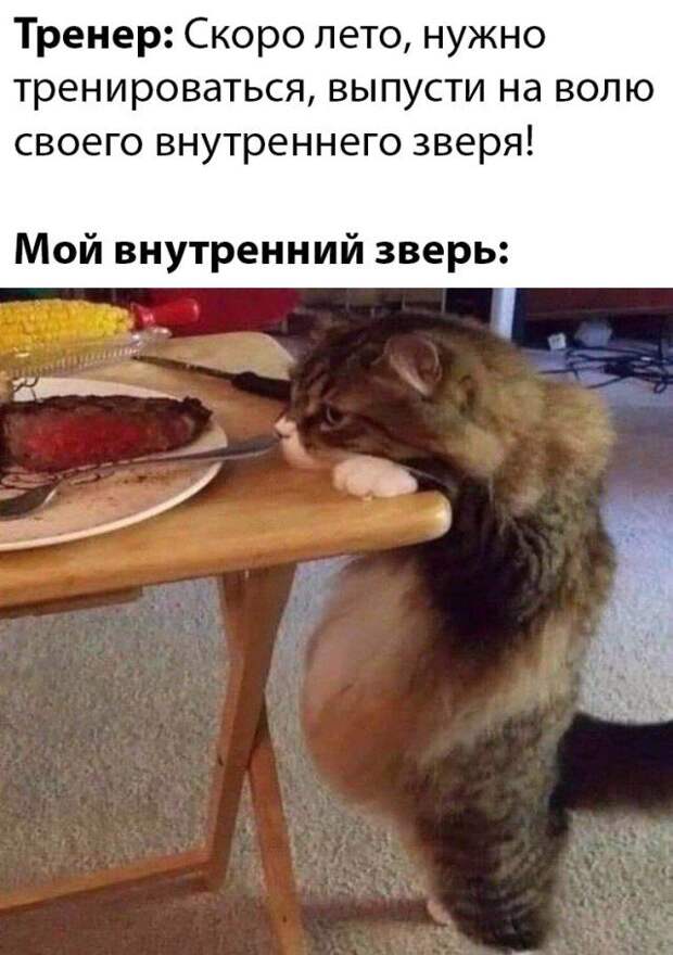 25 убойных приколюшек за последнюю неделю
