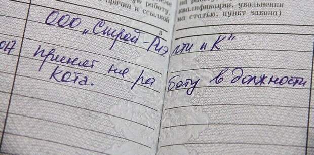 С такими документами в отделе кадров не заскучаешь! С такими документами в отделе кадров не заскучаешь!