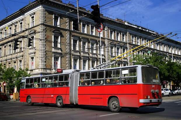Всех их можно объединить под условным названием Ikarus 280T, хоть список модификаций и неожиданно широк автобус, будапешт, венгрия, икарус, общественный транспорт