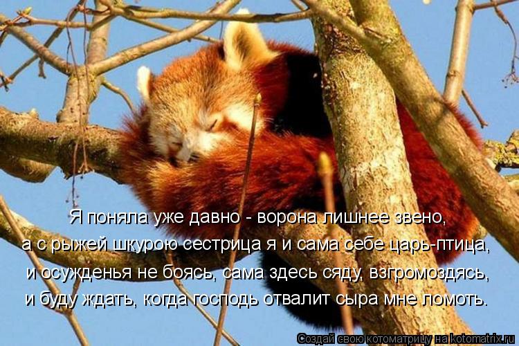 Котоматрица: Я поняла уже давно - ворона лишнее звено, а с рыжей шкурою сестрица я и сама себе царь-птица, и осужденья не боясь, сама здесь сяду, взгромоздя