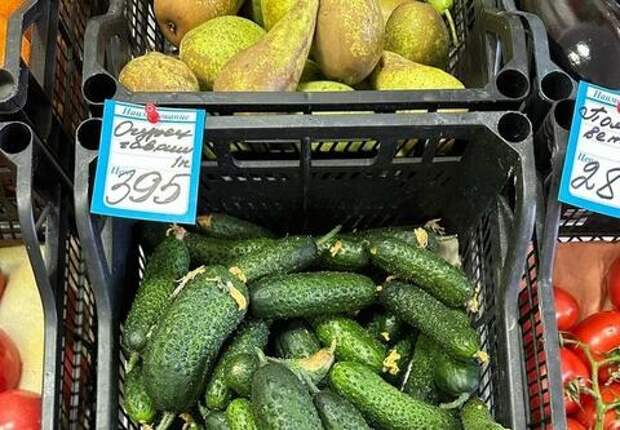 ФАС уполномочил заявить: федеральная антимонопольная служба проверяет цены на огурцы