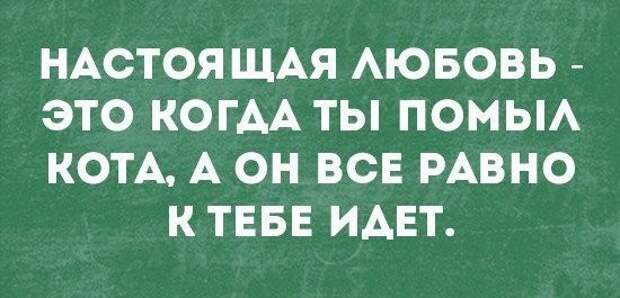 Со здоровьем не шутят: у него нет чувства юмора! открытки, приколы, юмор