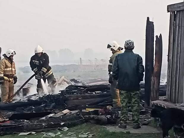 Огонь пришел с болот. Омскую деревню наполовину уничтожил пожар