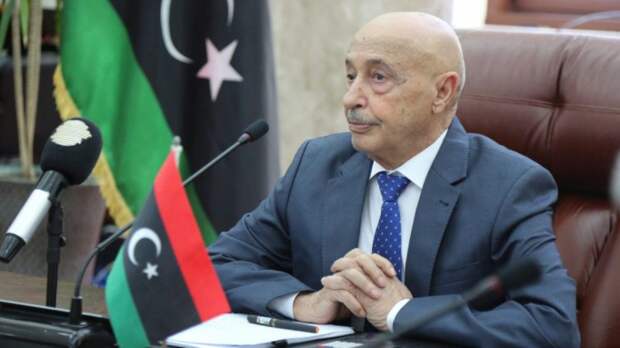 Сомнительные результаты выборов исполнительной власти Ливии проверяет СовБез ООН
