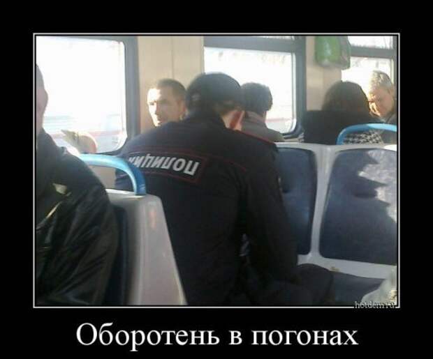 Весёленькие демотиваторы для хорошего настроения