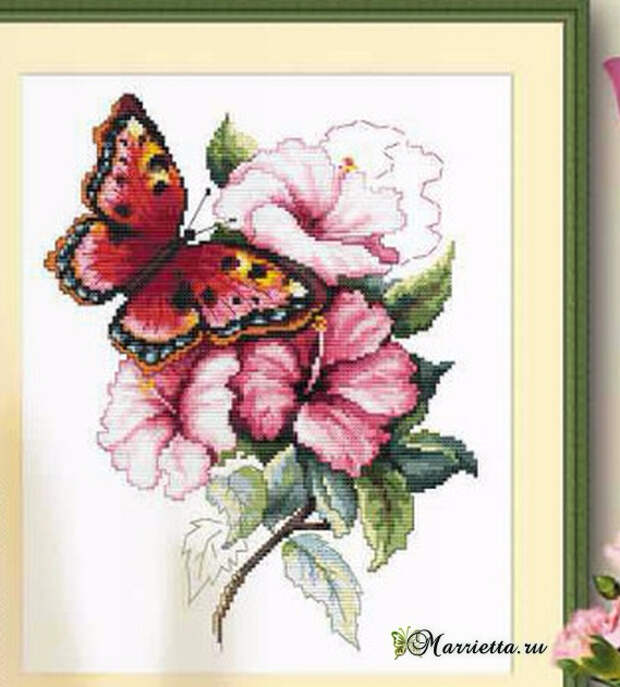 Схема вышивки «Красочная бабочка на цветах» (3) (569x631, 265Kb)