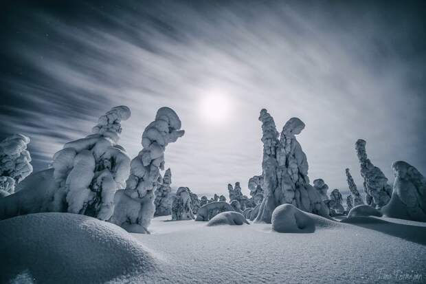 northern-lights-photography-finland-53-584e5d60bda1c__880