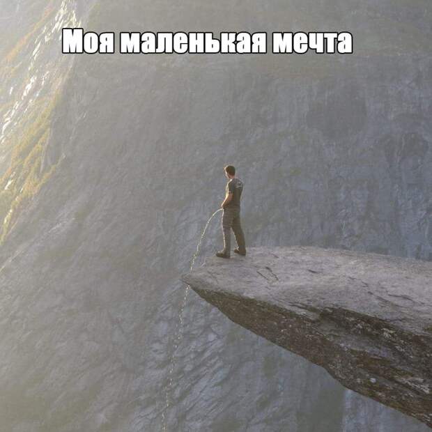 Порция настроения добрый день, картинки, мемы, смех, смешные