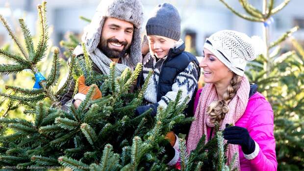 Ёлочные базары в Рязани откроются 15 декабря