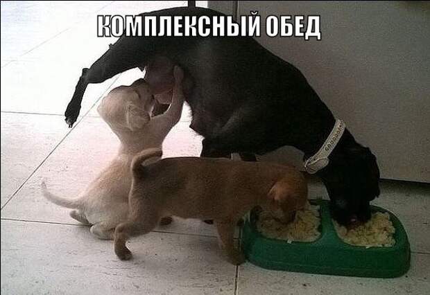 Прикольные картинки