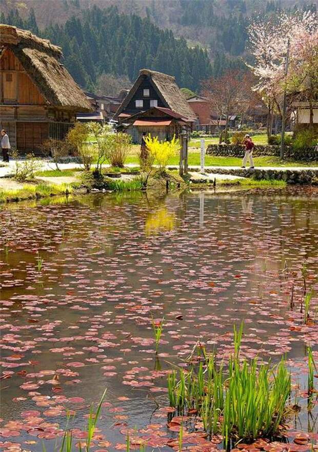 Япония деревня Сиракава