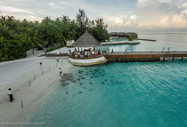Самый роскошный отель на Мальдивах Jumeirah Vittaveli