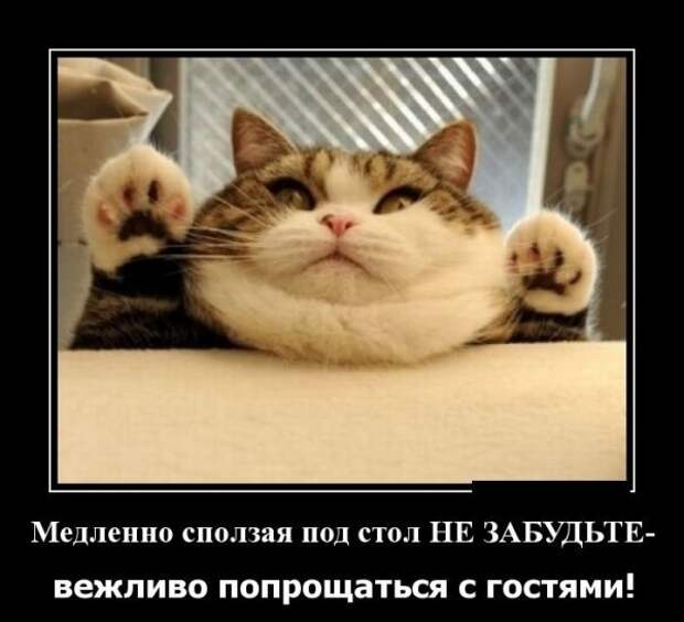 Прикольные и просто красивые картинки