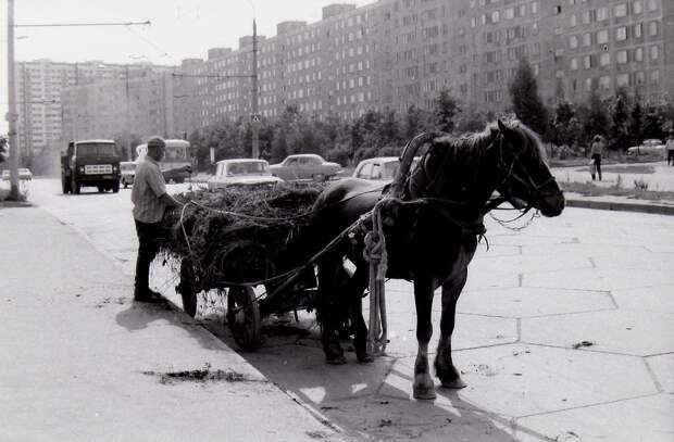 1979 год.  Москва, Юго-запад,