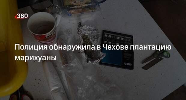 Полицейские в Чехове задержали подозреваемого в торговле марихуаной