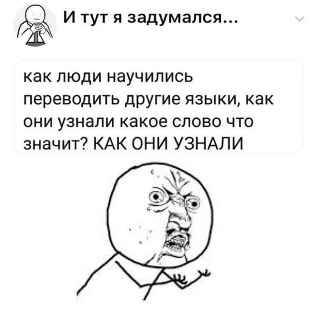 205895_10_trinixy_ru.jpg