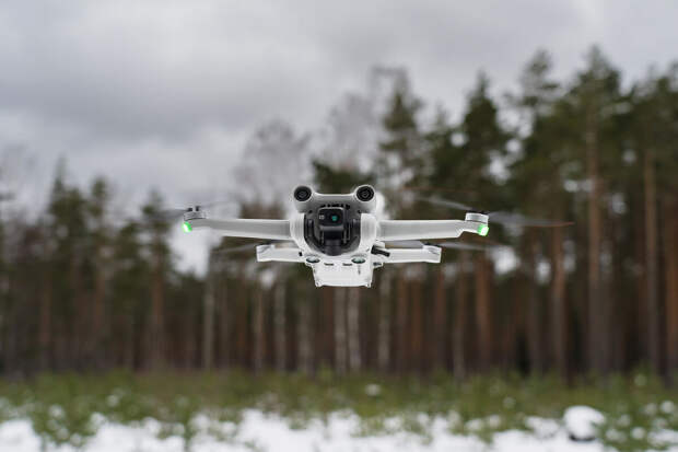 В ПЦБК использовали дроны для мониторинга пораженных жуком-полиграфом лесов