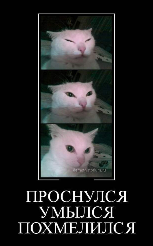 Утренние демотиваторы Утренние демотиваторы
