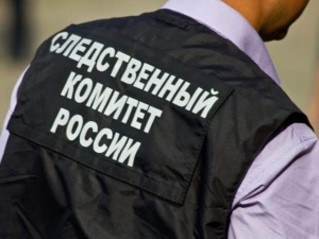 В центральный аппарат ведомства будет представлен доклад о ходе расследования уголовного дела по факту хулиганских действий приезжих в Московской области