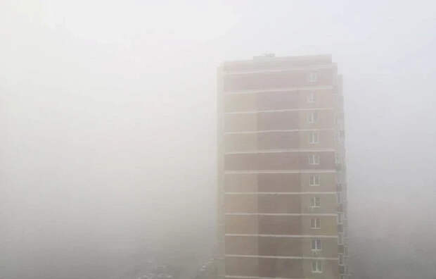 Сильный туман ожидается в Тульской области 2-3 апреля