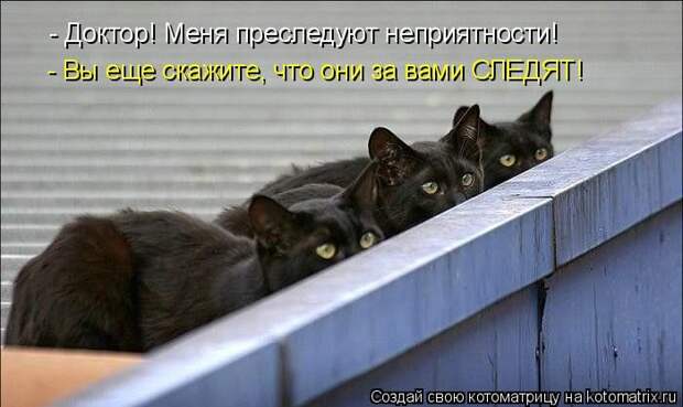 Лучшие котоматрицы недели (50 фото) Лучшие котоматрицы недели (50 фото)