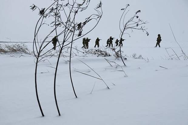 В России сообщили о появлении «мертвых душ» в ВСУ