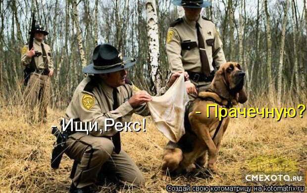 Лучшие котоматрицы недели (50 фото) Лучшие котоматрицы недели (50 фото)