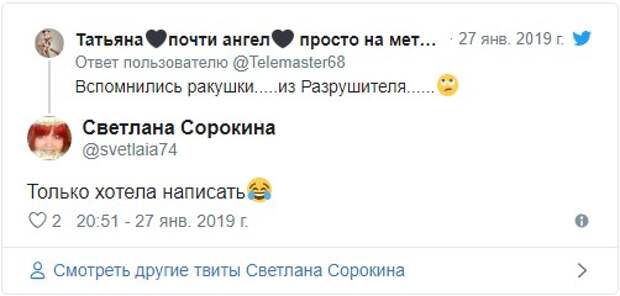 Германия озадачена: туалетная бумага или экология? Германия озадачена: туалетная бумага или экология?