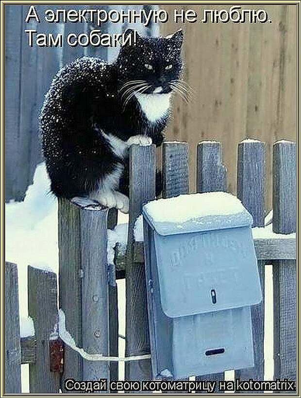 ЗИМОЙ!..