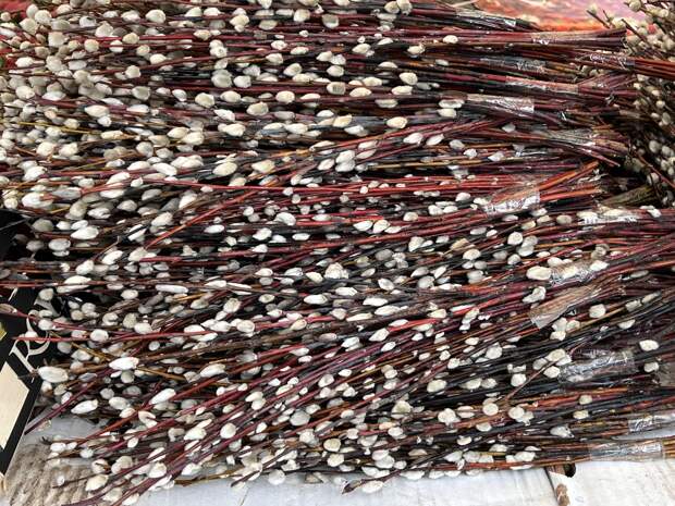 Православные россияне готовятся отмечать Вербное воскресенье 5 апреля