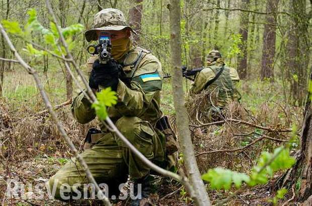Готовится диверсия: к границе ЛНР прибыл спецназ ВСУ | Русская весна