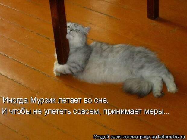 Мысли вслух :)