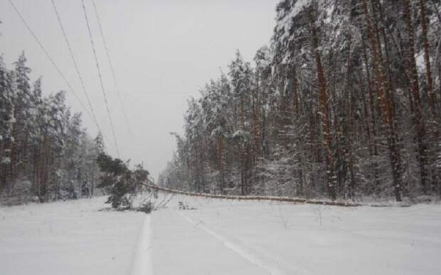 Из-за снегопада в регионе опять начались аварии на электросетях