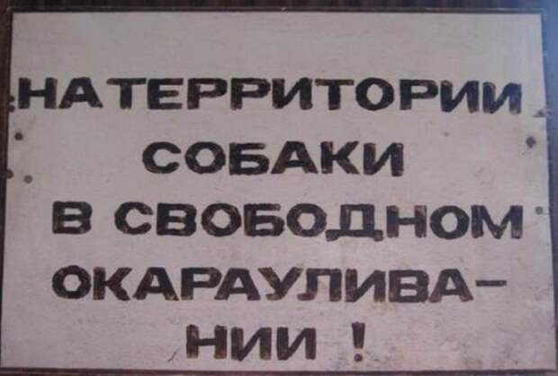 Таблички от хозяев с прекрасным чувством юмора животные, таблички, чувство юмора