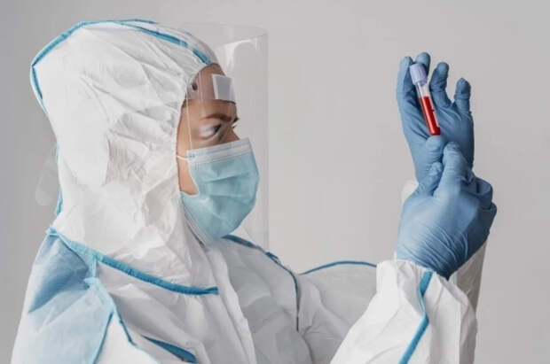 Вирусолог Зуев оценил опасность завезенной в РФ лихорадки чикунгунья