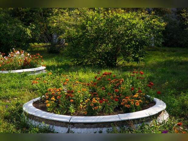 Работы по озеленению начали в Чите