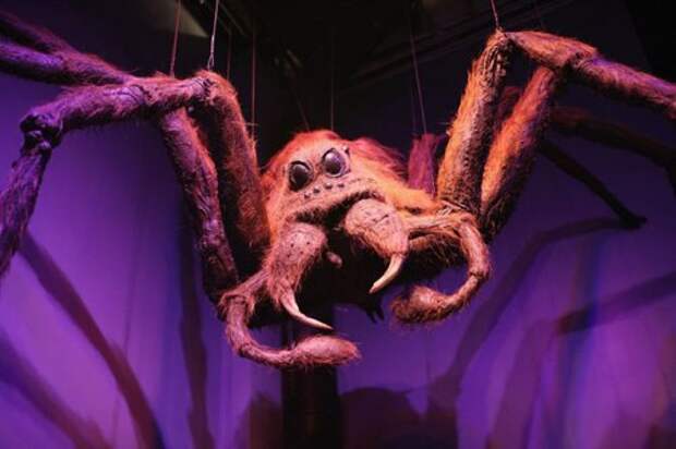 Интересные факты о съёмках фильмов о Гарри Поттере (31 фото)