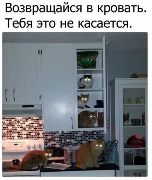 Свежие прикольные фотомемы (25 шт)