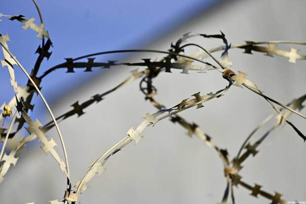 В Калининграде осудили жителя, пытавшегося сбежать от мобилизации в Польшу