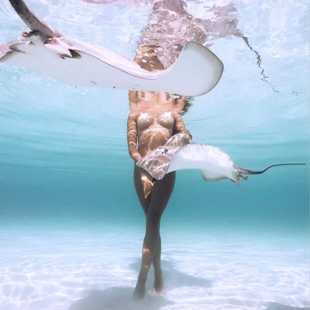 Прекрасная островитянка купается обнаженной в компании акул и скатов акулы, видео, гавайи, модель, море, острова, скат, фото
