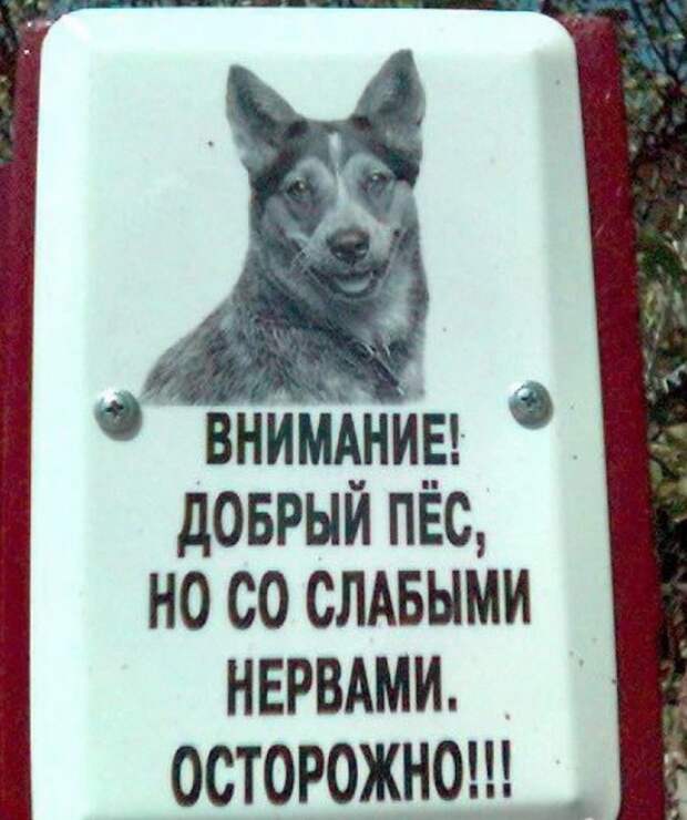 Таблички от хозяев с прекрасным чувством юмора животные, таблички, чувство юмора