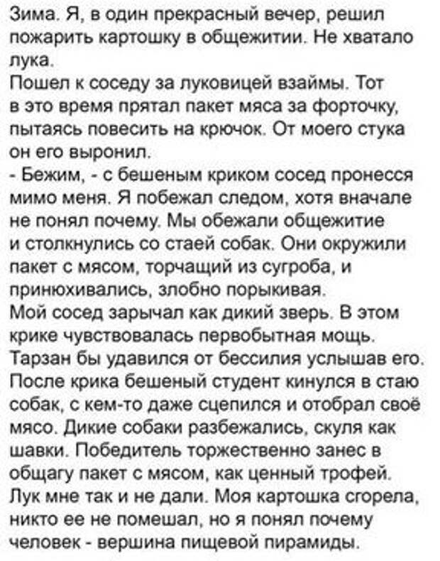 Приколы
