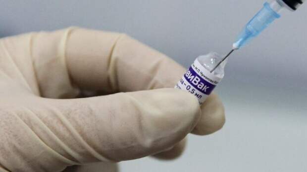 Центр Чумакова приостановил выпуск вакцины «КовиВак» на несколько месяцев