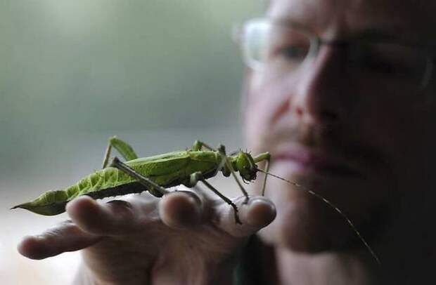 Прикольные картинки (15.12.16)