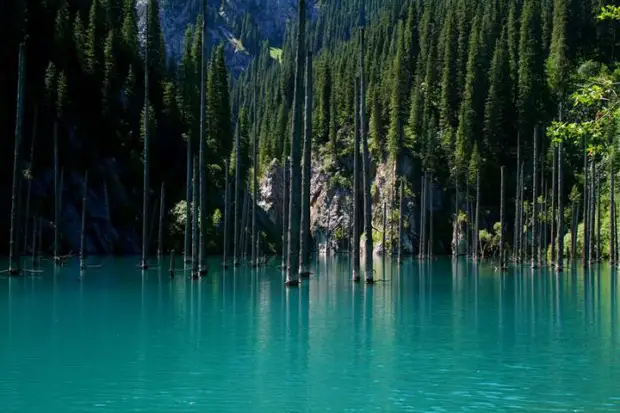 Затопленный лес озера Каинды, Кайнды, (Lake Kaindy), Казахстан
